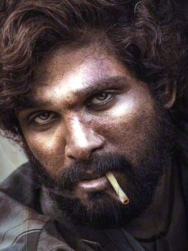 Allu Arjun की कहानी